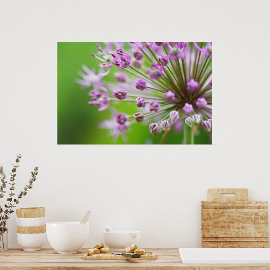 Kleine Sterne Poster (Keuken)