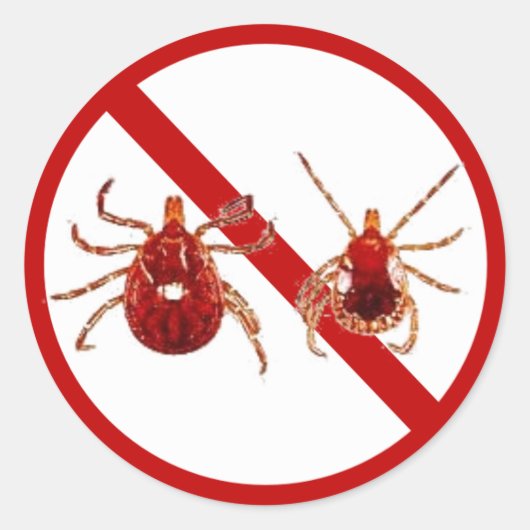 Kleine Stickers, Lyme Disease Tick (wit) Ronde Sticker (Voorkant)