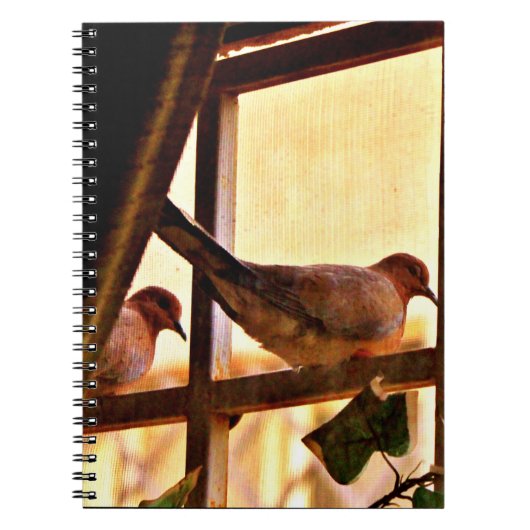 Kleine stieren notitieboek (Voorkant)