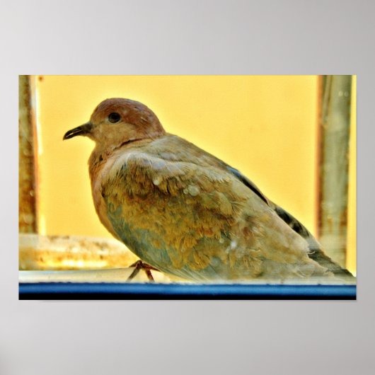 Kleine stip poster (Voorkant)