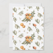 Kleine stropdas op de weg naar het Oranje CitrusBa Kaart (Achterkant)