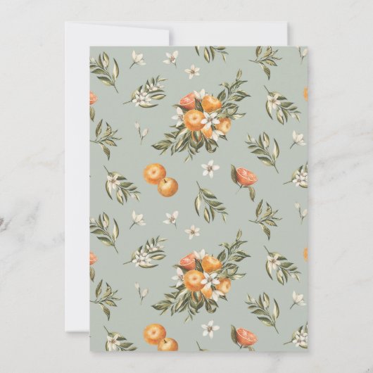 Kleine stropdas op de weg naar het Oranje CitrusBa Kaart (Achterkant)