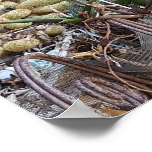 Kleine thuis in de Bossen Poster (Hoek)