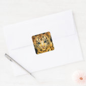 KLEINE TIJGER VIERKANTE STICKER (Envelop)