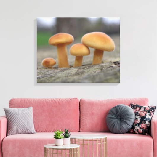 Kleine toadstools Macro Canvas afdrukken (Insitu (Woonkamer))