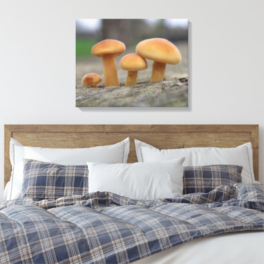 Kleine toadstools Macro Canvas afdrukken (Insitu (Slaapkamer))