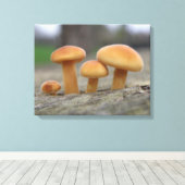 Kleine toadstools Macro Canvas afdrukken (Insitu (Houten vloer))