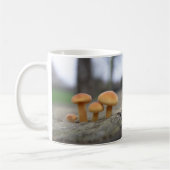 Kleine Toadstools Macro Mok (Links)