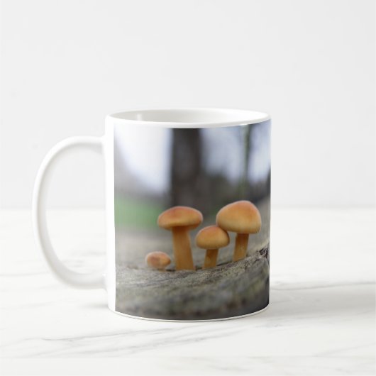 Kleine Toadstools Macro Mok (Links)