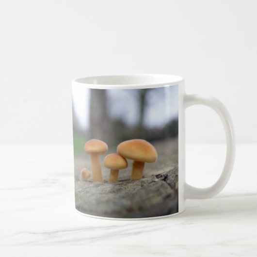 Kleine Toadstools Macro Mok (Rechts)