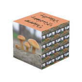 Kleine Toadstools Macro op maat Kubus (Achter hoekig)