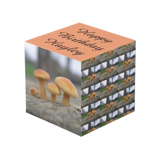 Kleine Toadstools Macro op maat Kubus (Voorkant hoekig)