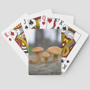 Kleine Toadstools macrospeelkaarten Speelkaarten