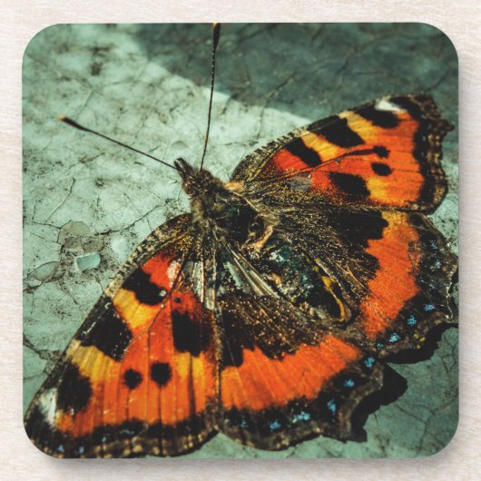 Kleine tortoiseshel Butterfly Bier Onderzetter (Voorkant)