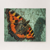 Kleine tortoiseshel Butterfly Legpuzzel (Horizontaal)