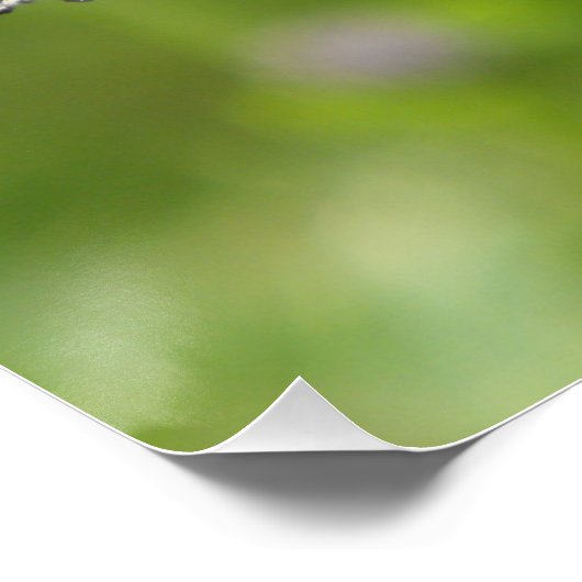 Kleine tortoiseshel Butterfly Perfect Poster (Hoek)