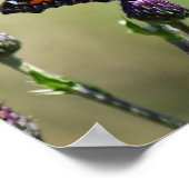 Kleine tortoiseshel Butterfly Poster (Hoek)