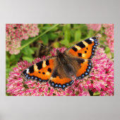 Kleine tortoiseshel Butterfly Poster (Voorkant)