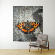 Kleine tortoiseshel Butterfly