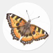 Kleine Tortoiseshell Vlinder Sticker (Voorkant)