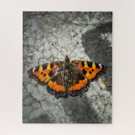 kleine tortoiseshelvlinder legpuzzel