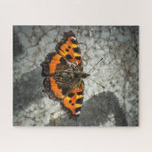 kleine tortoiseshelvlinder legpuzzel (Horizontaal)