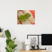 Kleine tropische kikker poster (Thuiskantoor)