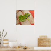 Kleine tropische kikker poster (Keuken)