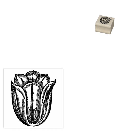 Kleine Tulp Bloesem Bloem Bloemisterij Botanisch H Rubberstempel (Gestempeld)
