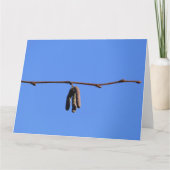 Kleine Twig op Blue Sky Kaart (Voorkant)