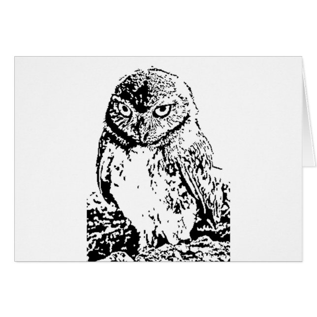 kleine uil (Voorkant Horizontaal)