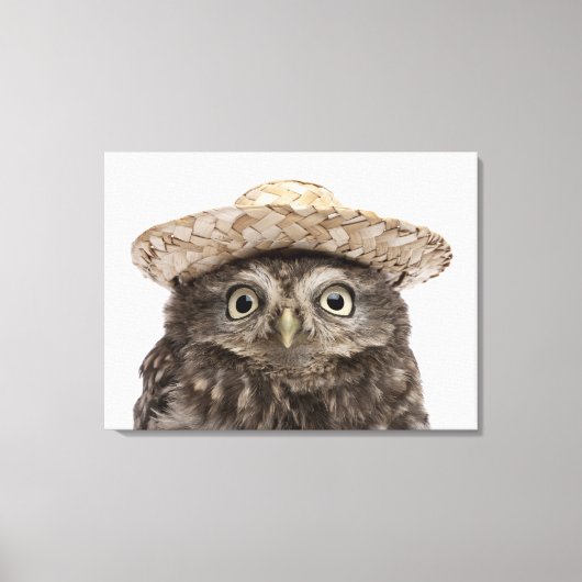 Kleine Uil | Athene noctua Canvas Afdruk (Voorkant)