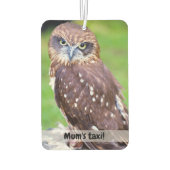 Kleine Uil Auto luchtverfrisser (Achterkant)
