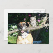 Kleine uil en grote hond briefkaart (Voorkant / Achterkant)