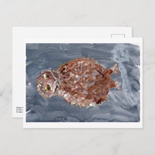 Kleine uil met grijze achtergrond briefkaart (Voorkant / Achterkant)