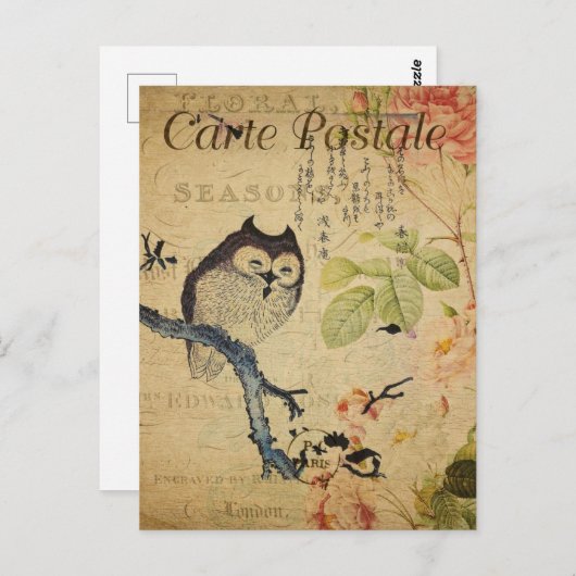  kleine uil roze rozen Frans Briefkaart (Voorkant / Achterkant)