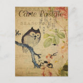 kleine uil roze rozen Frans Briefkaart (Voorkant)