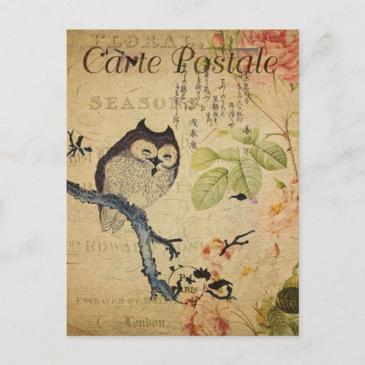 kleine uil roze rozen Frans Briefkaart (Voorkant)