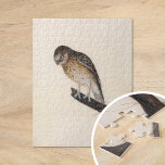 kleine uil | William Lewin Legpuzzel<br><div class="desc">Kleine uil (voor 1790) | De Kleine Uil van William Lewin is een charmant en nauwkeurig schilderij met een kleine bruine uil op een tak tegen een minimalistische neutrale achtergrond. Het kunstwerk vangt de expressieve blik, zachte veren en compacte vorm van de uil met veel aandacht voor detail. De eenvoudige...</div>