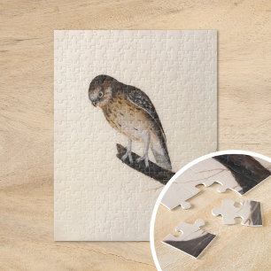 kleine uil   William Lewin Legpuzzel