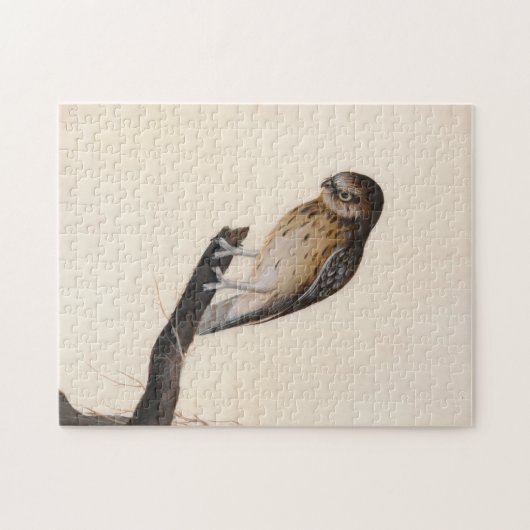 kleine uil | William Lewin Legpuzzel (Horizontaal)