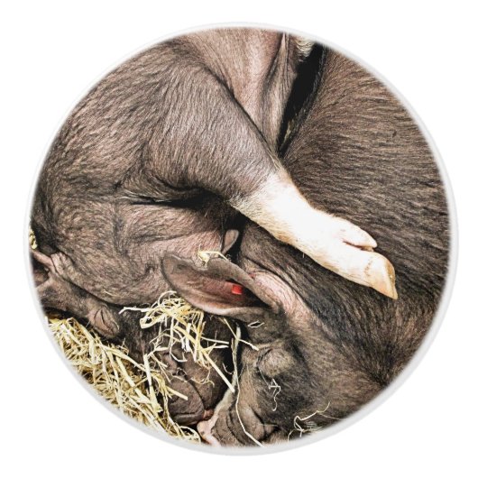 KLEINE VARKENS KERAMISCHE KNOP (Voorkant)