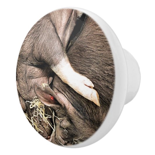 KLEINE VARKENS KERAMISCHE KNOP (Rechts)