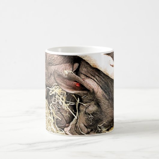 KLEINE VARKENS KOFFIEMOK (Center)