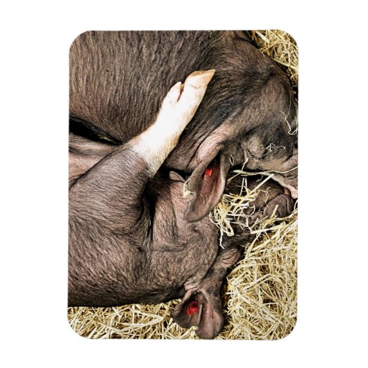 KLEINE VARKENS MAGNEET (Verticaal)