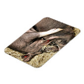 KLEINE VARKENS MAGNEET (Linkerzijde)