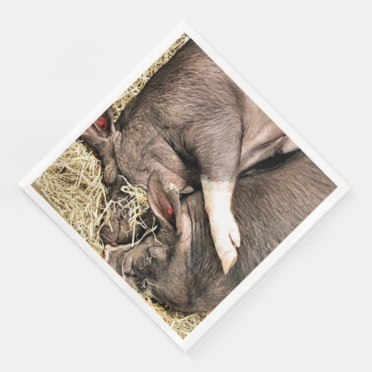 KLEINE VARKENS SERVET (Hoek)