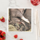 KLEINE VARKENS SERVET (Insitu)