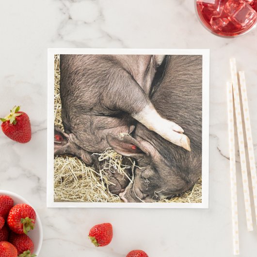 KLEINE VARKENS SERVET (Insitu)