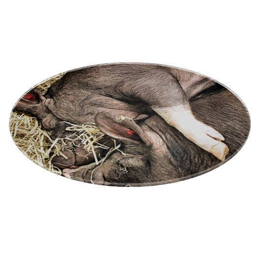 KLEINE VARKENS SNIJPLANK (Hoek)